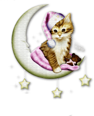 Kaz_Creations Cute Cartoon Cat Kitten - PNG gratuit