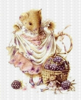 vera the mouse - gratis png