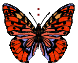 chantalmi papillon butterfly red rouge - GIF animate gratis
