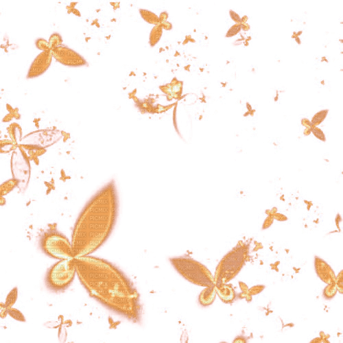 ..:::Frame-Orange Butterflies:::.. - PNG gratuit
