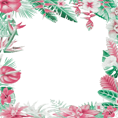 soave frame flowers summer animated tropical - Ilmainen animoitu GIF