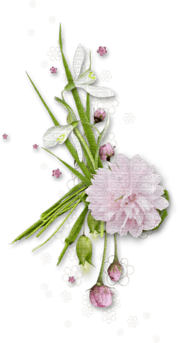 Spring Flowers - Free PNG