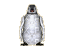 Bebe Penguin - GIF animate gratis