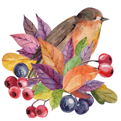 Kaz_Creations Birds Bird Fruit - png gratis
