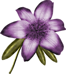 Kaz_Creations Deco Flower - Free PNG