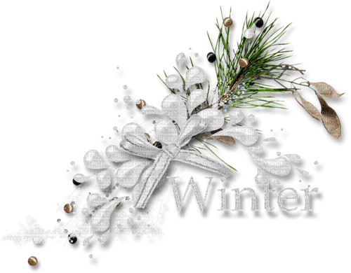 Winter. Leila - PNG gratuit