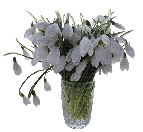 Bloemen en Planten - Darmowy animowany GIF