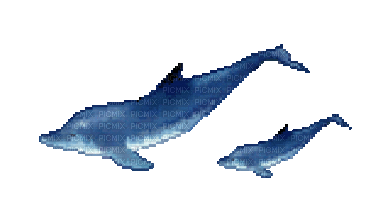delfin milla1959 - Free animated GIF