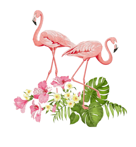 flamingo milla1959 - безплатен png