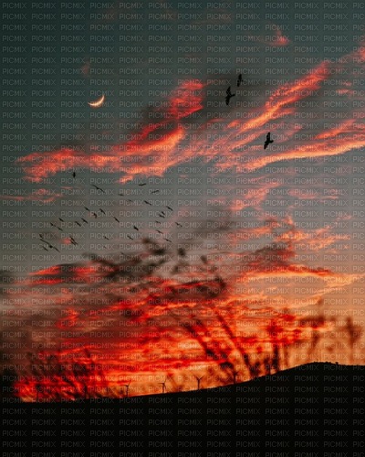 Sunset Background - фрее пнг