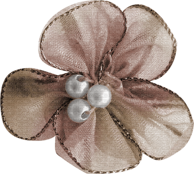 set Cacao -flower-blomma-minou52 - png grátis