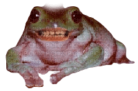 crunchy evil frog with teeth - PNG gratuit