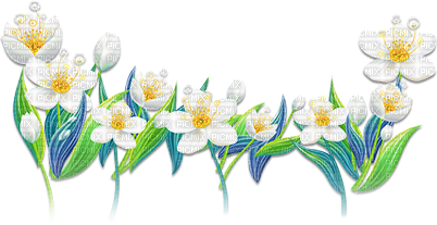 soave deco flowers spring border daffodils yellow - безплатен png