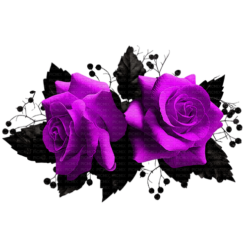 Gothic.Roses.Black.Purple - nemokama png