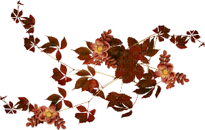 leaves - 免费PNG