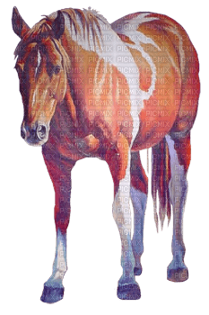 Cheval ! S - Free PNG