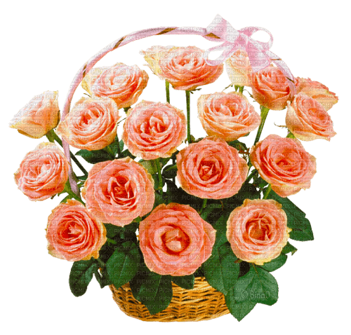 Y.A.M._Flowers bouquets - zadarmo png