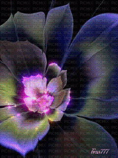 fleur - Ücretsiz animasyonlu GIF
