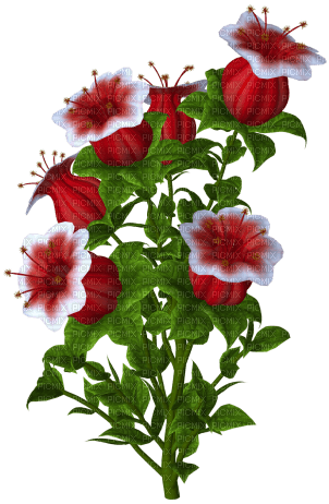 Kaz_Creations Flowers-Fleurs - ilmainen png