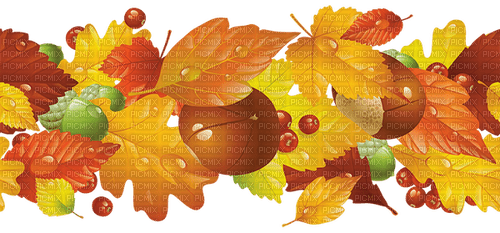 fall autumn leaf leaves feuille - nemokama png