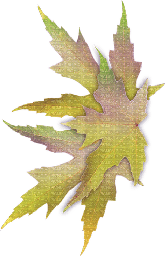 autumn leaves Bb2 - PNG gratuit
