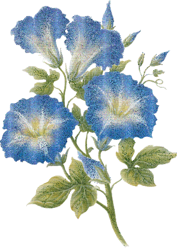 Bloemen en Planten - Δωρεάν κινούμενο GIF