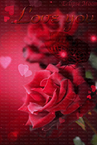 rose - Kostenlose animierte GIFs