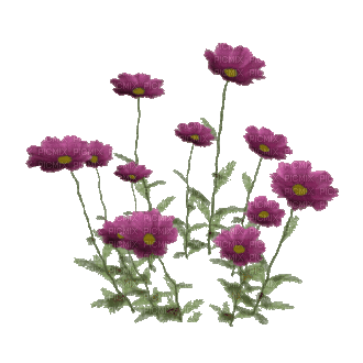 Цветочки - Gratis geanimeerde GIF
