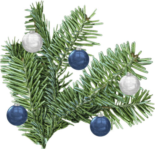 Christmas branch - Free PNG