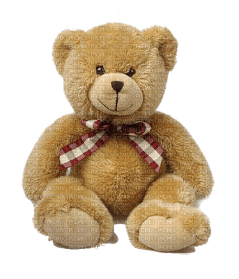 bowtie teddy - png grátis