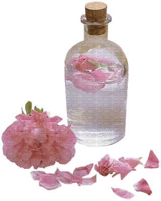 perfume by EstrellaCristal - zdarma png