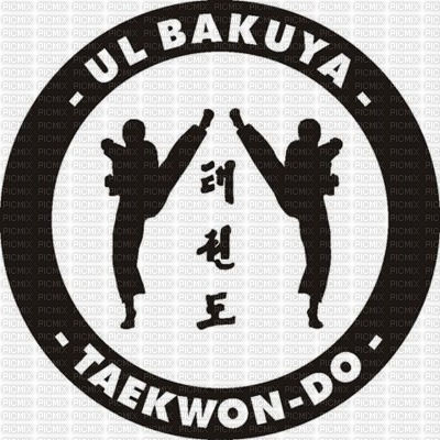 taekwondo es mi passion - безплатен png