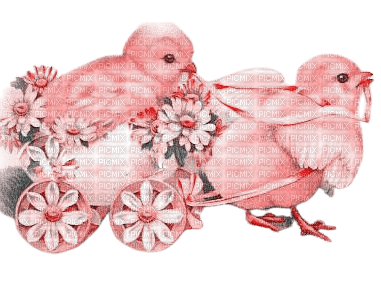kikkapink easter deco bird flowers pink teal - безплатен png
