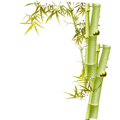 bamboo bp - darmowe png