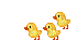 chicken - GIF animado grátis