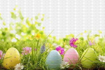 Kaz_Creations Backgrounds Background Easter - zdarma png