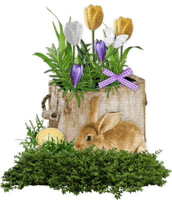 Kaz_Creations Deco Flowers Flower Colours Easter - png ฟรี