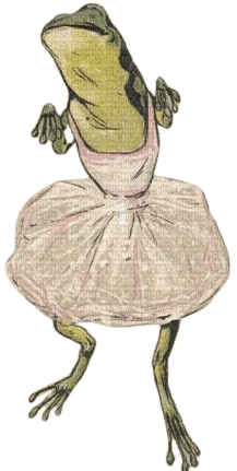 madam frog - besplatni png