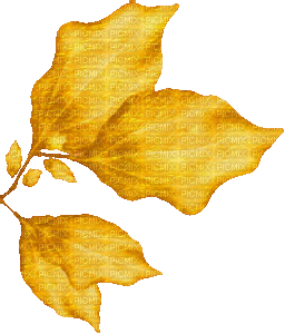 soave deco autumn animated branch leaves - Free animated GIF