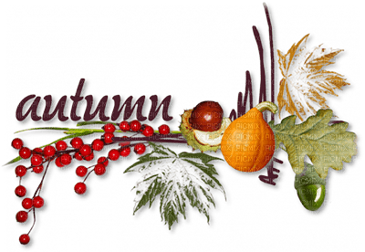 soave text autumn leaves deco red green orange - ilmainen png