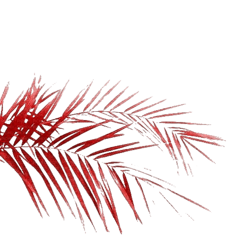 kikkapink deco summer red palm tree - Free PNG