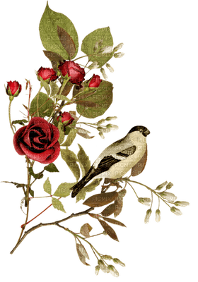 patymirabelle fleurs et oiseau - gratis png