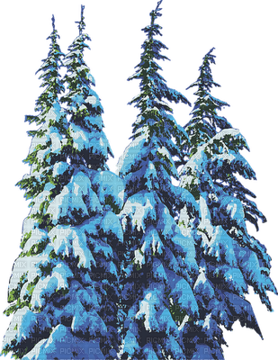 trees, talvi, winter - 無料png