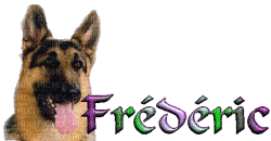 FRED - 免费动画 GIF