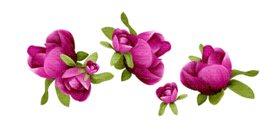 Kaz_Creations Deco Flowers Pink Colours - 免费PNG