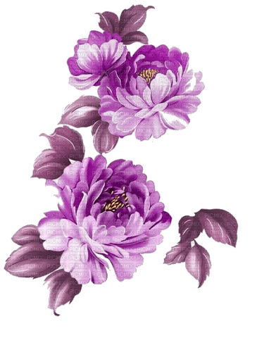 blommor-lila----flowers-purple - kostenlos png