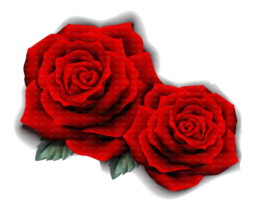 Red rose - nemokama png