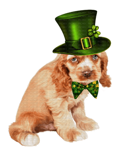 Chien St-patrick:) - Free PNG