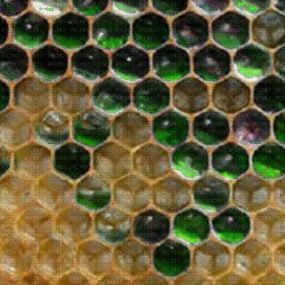 Hive Background - ilmainen png
