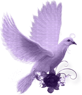 DOVE - 無料png